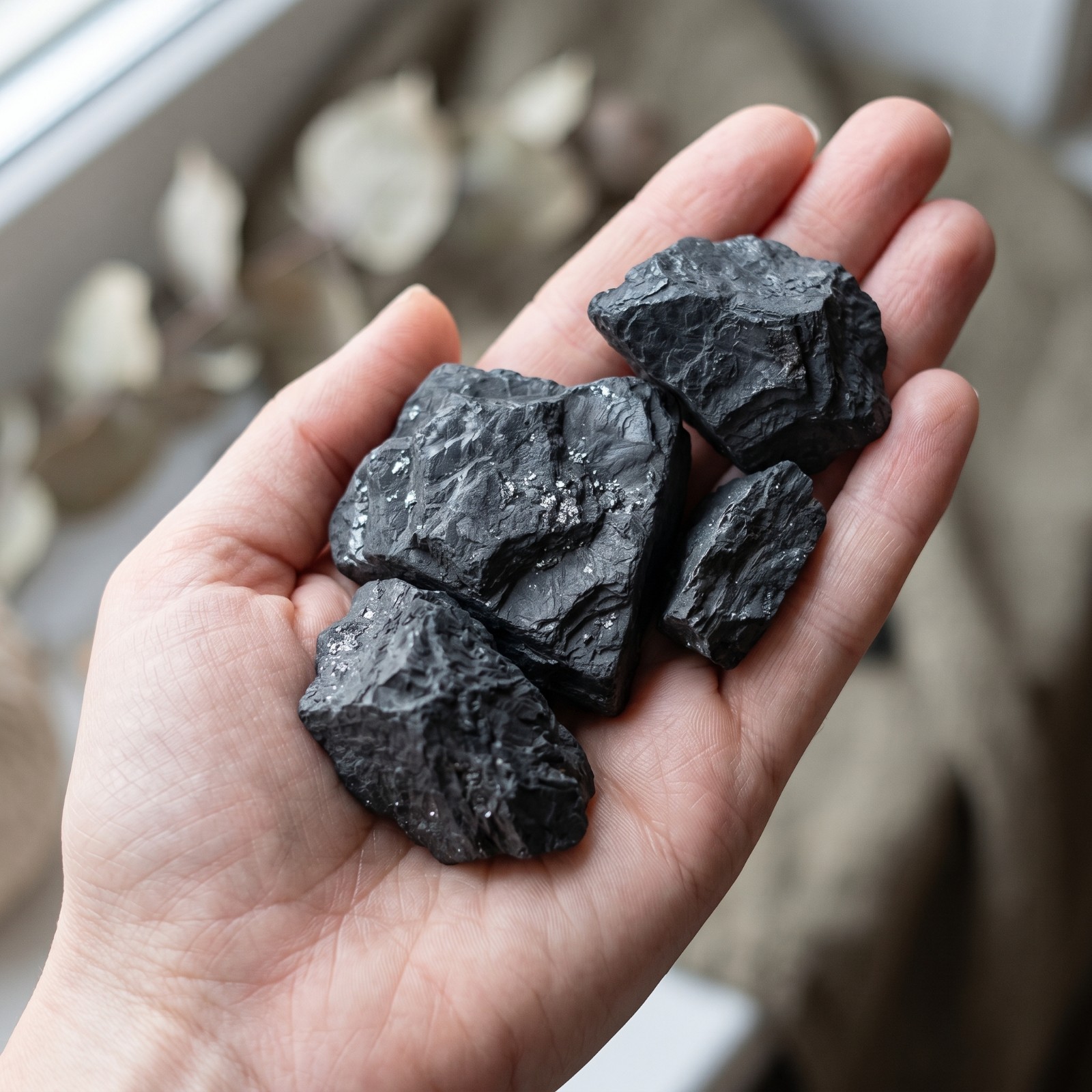 Natural Raw Shungite Rough Stone Mineral Specimen Purifying Healing Crystal