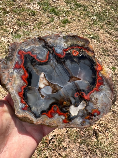 8 1/8”__Beautiful Imperial Kentucky Agate Slab from Estill County