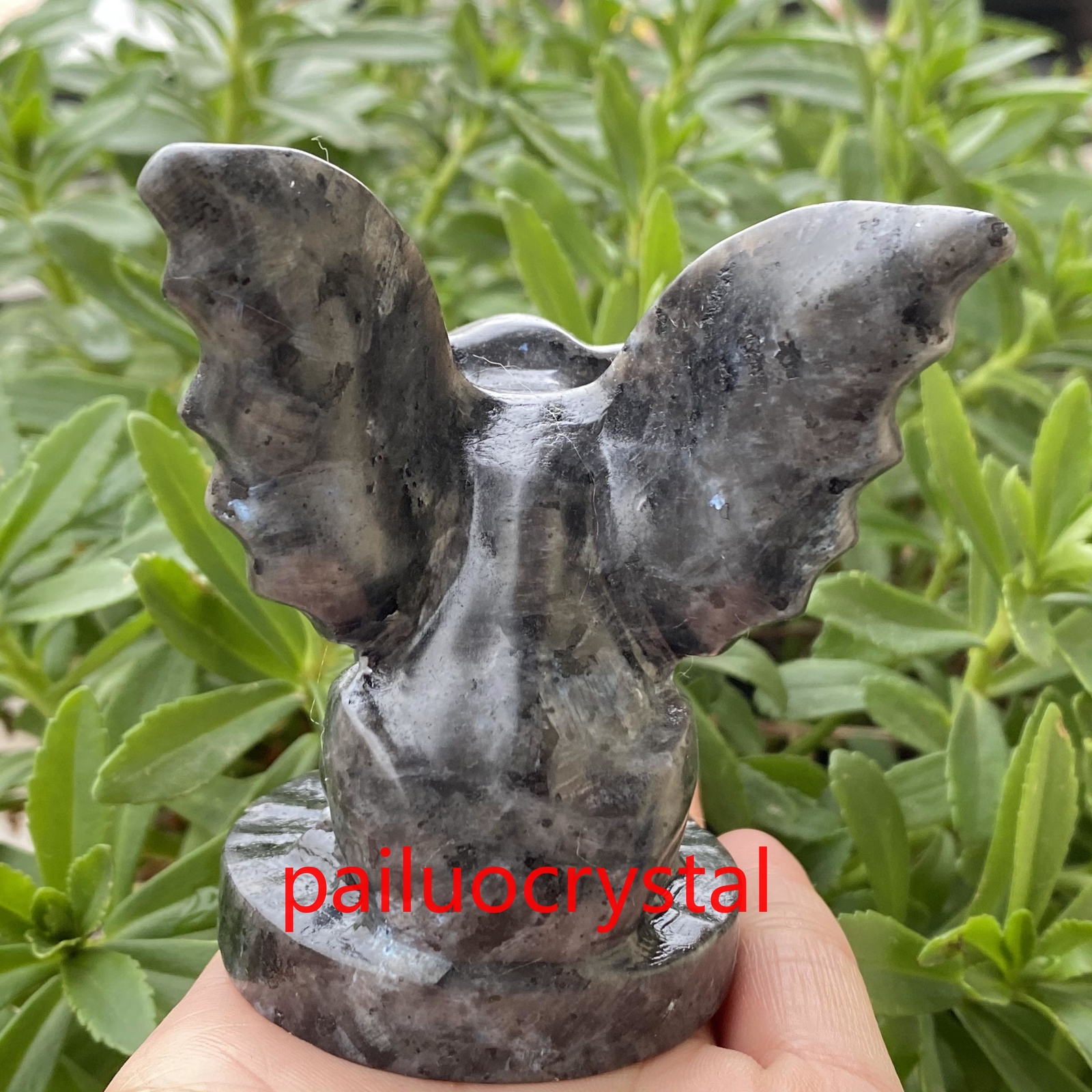 200g+ 1pc Natural Specctrolite Gargoyle Quartz Crystal Skull Carved Figurines 3″