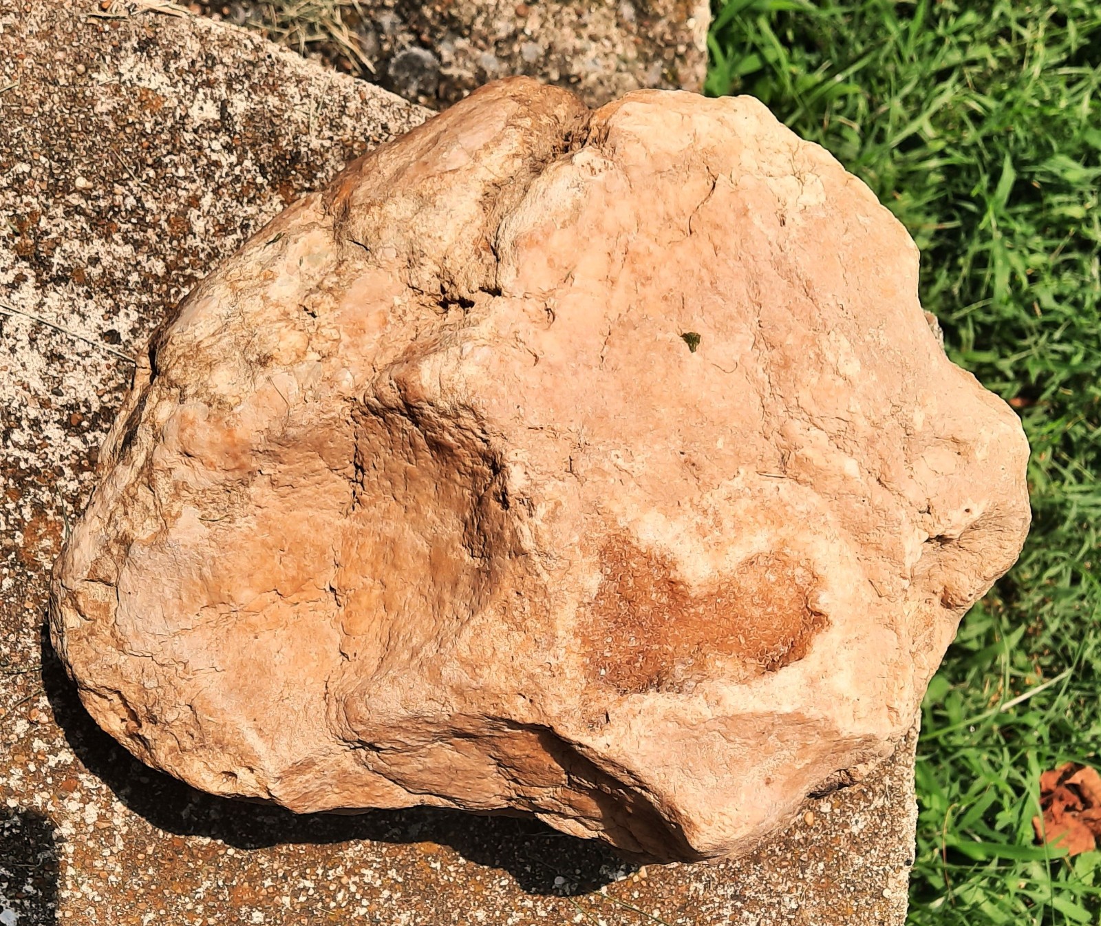 10.2 lbs, Unopened Orange Druzy Crystals Geode. Quartz, Jasper. 9.5″. Kentucky