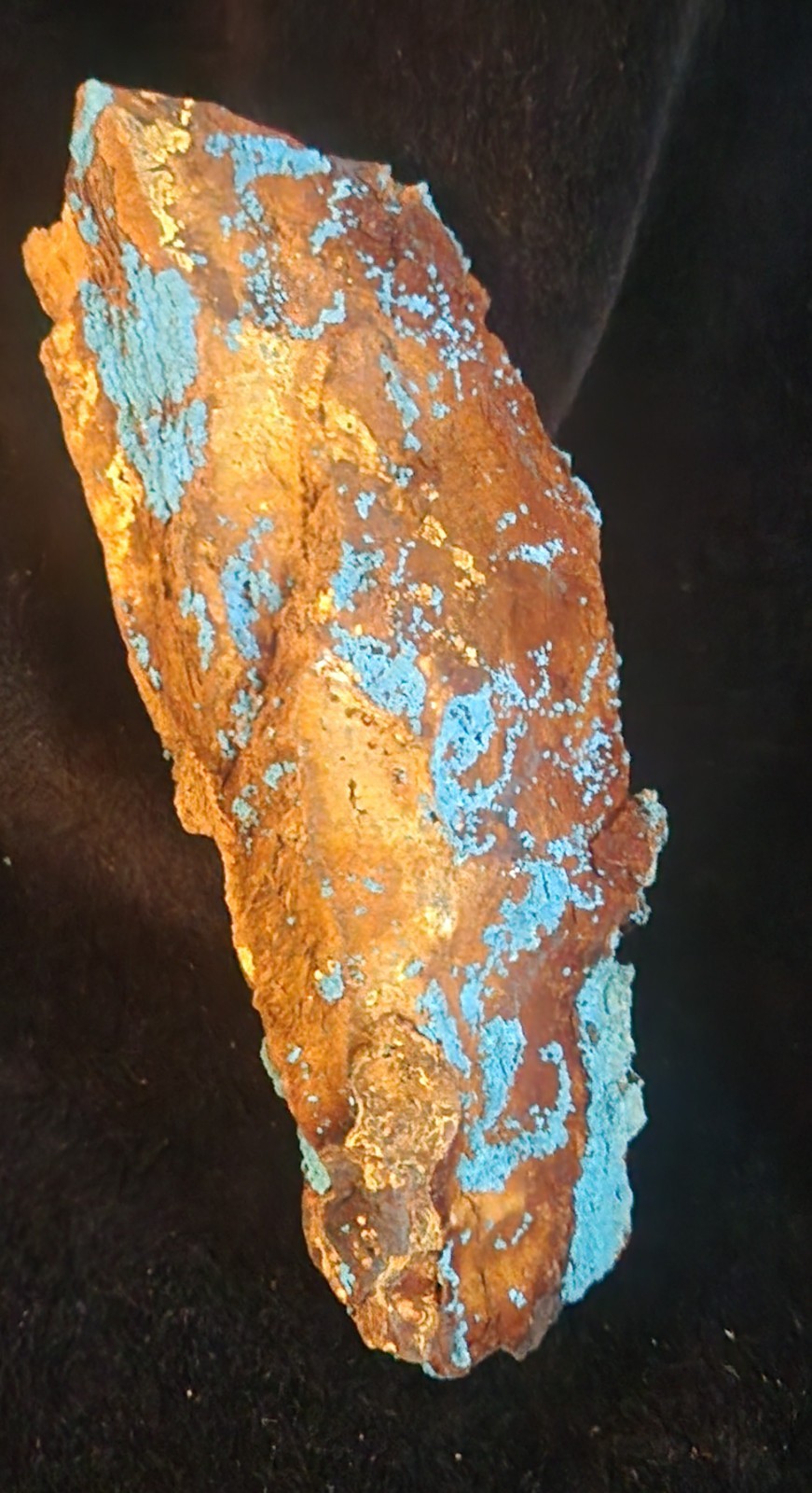 Shattuckite w/ Marcasite, Yunnan China, SCAB, TOP GRADE, Vivid Blue Display