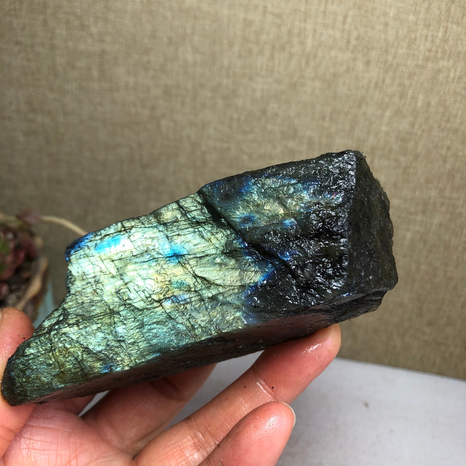 92-34-36mm Natural Labradorite Crystal gemstone Rough Mineral Specimen A4418