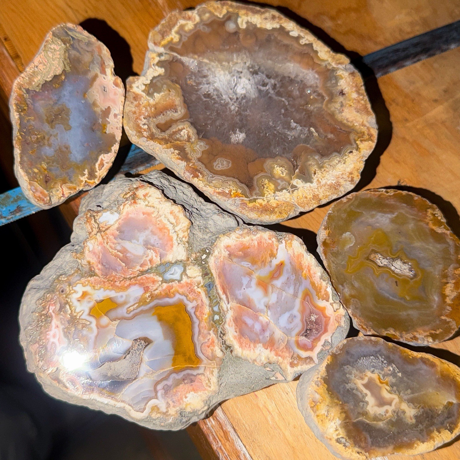 5 Mirror Polished Kentucky Agate Specimens. Nice Variety Fortifications Banding