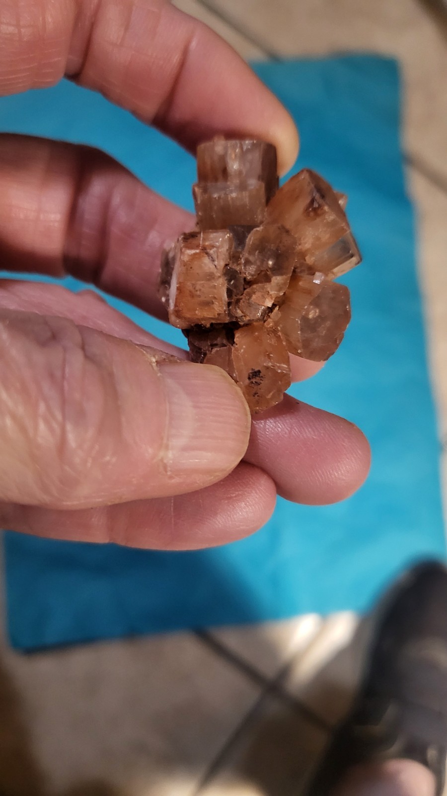 Highly Prized Rock and Mineral Collection