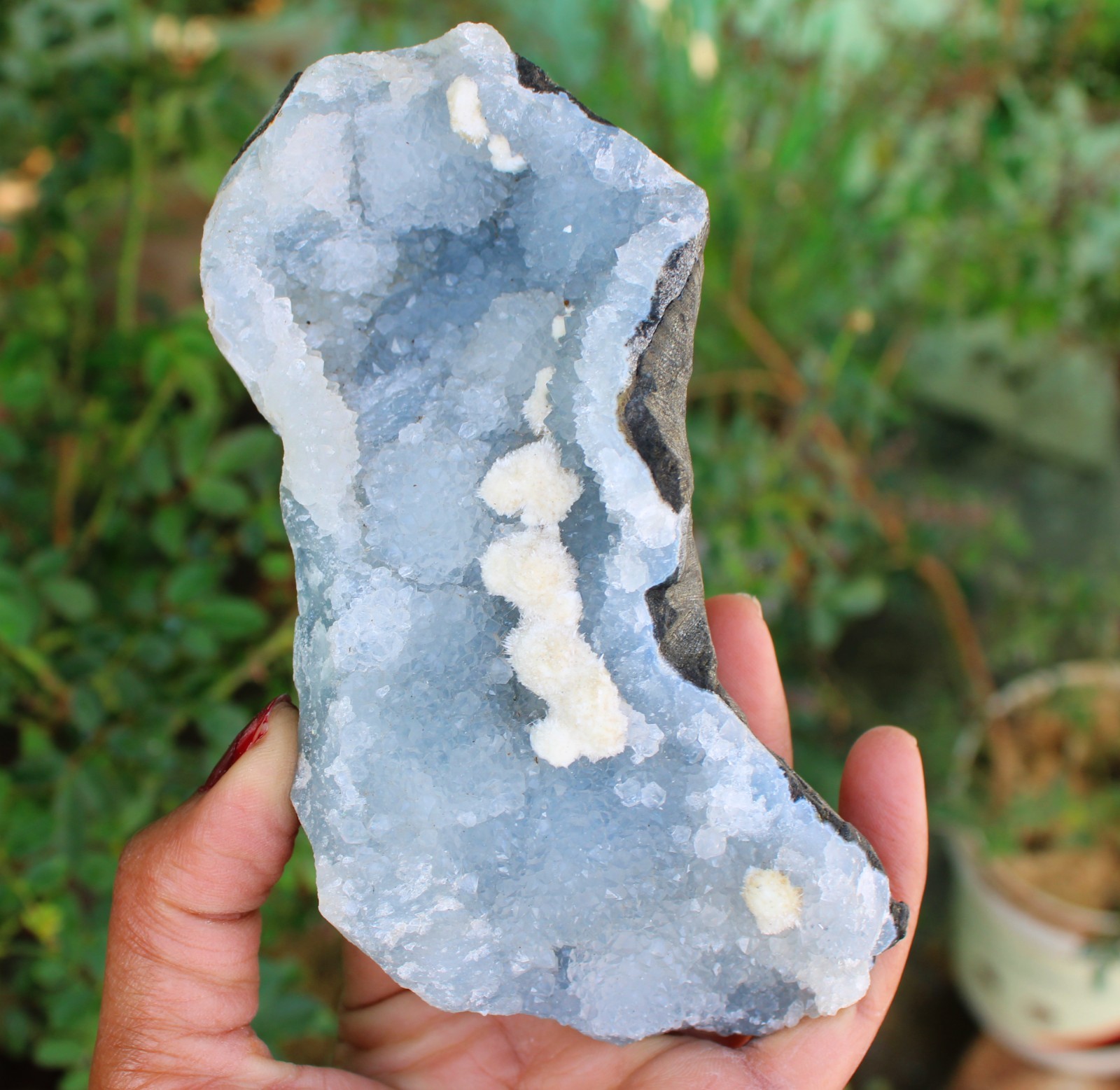 Okenite Balls On Blue Chalcedony Coral Matrix Minerals Specimen #O1