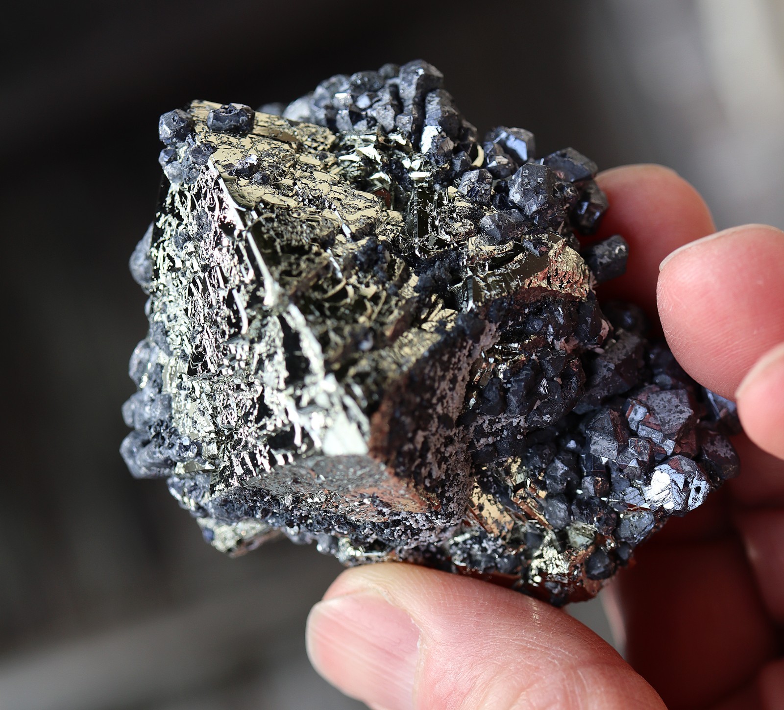 A perfect octahedron of pyrite with galena. No damage Huanzala mine Ancash, Peru