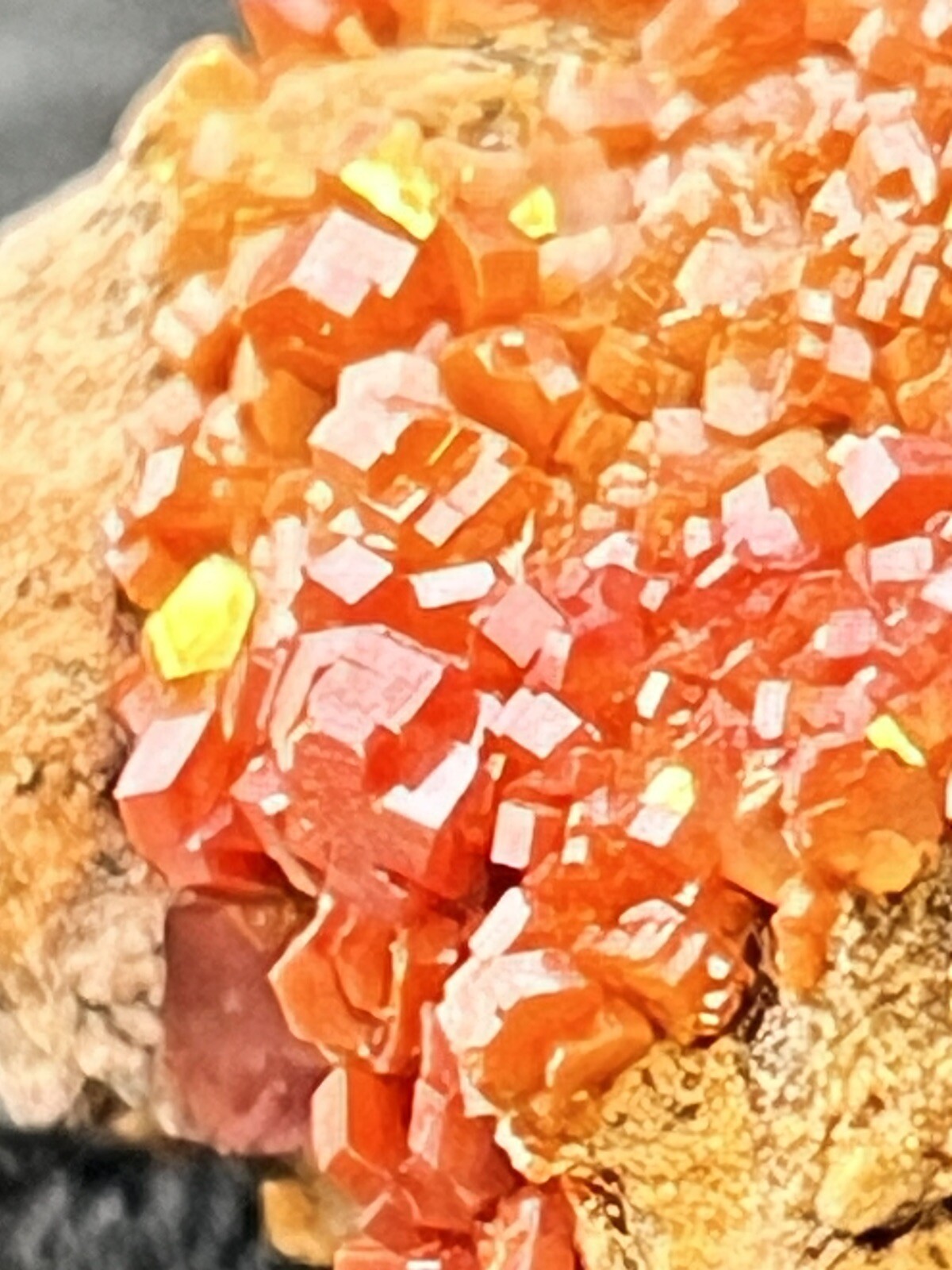 Vanadinite Mineral Specimen Red Hexagonal Crystals in Matrix. from Morocco.