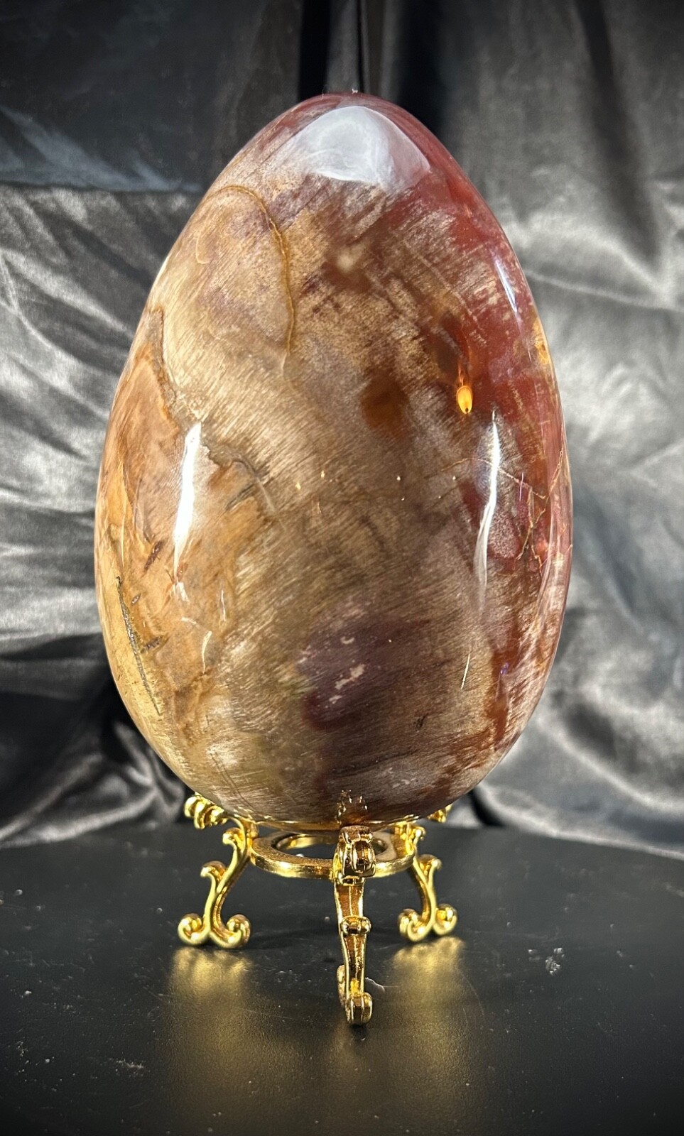 5lb 4.2oz Petrified Wood Egg with Metal Stand