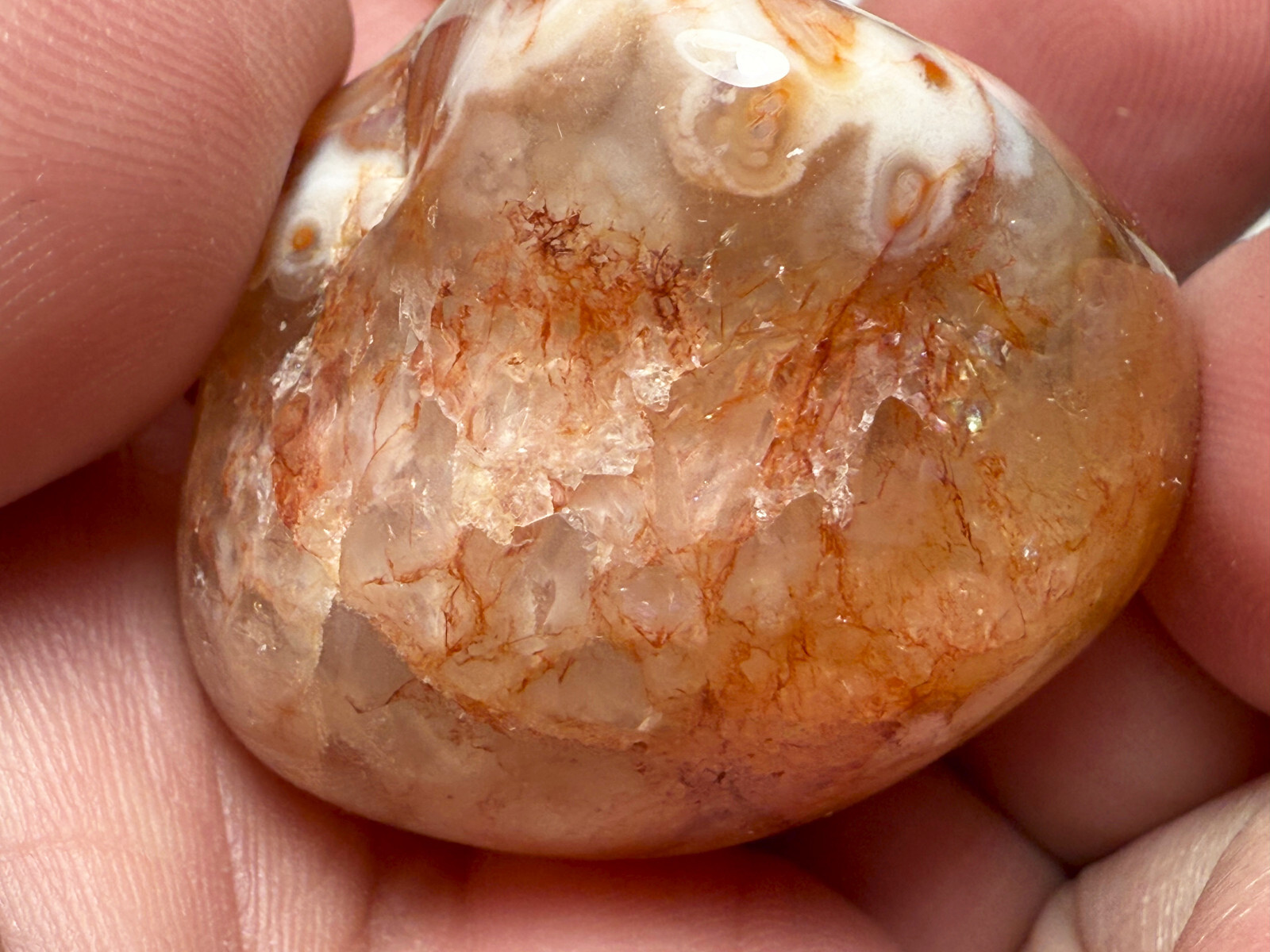 2.0 oz Michigan Minnesota Lake Superior Agate LSA #18 EYES BANDS (polished