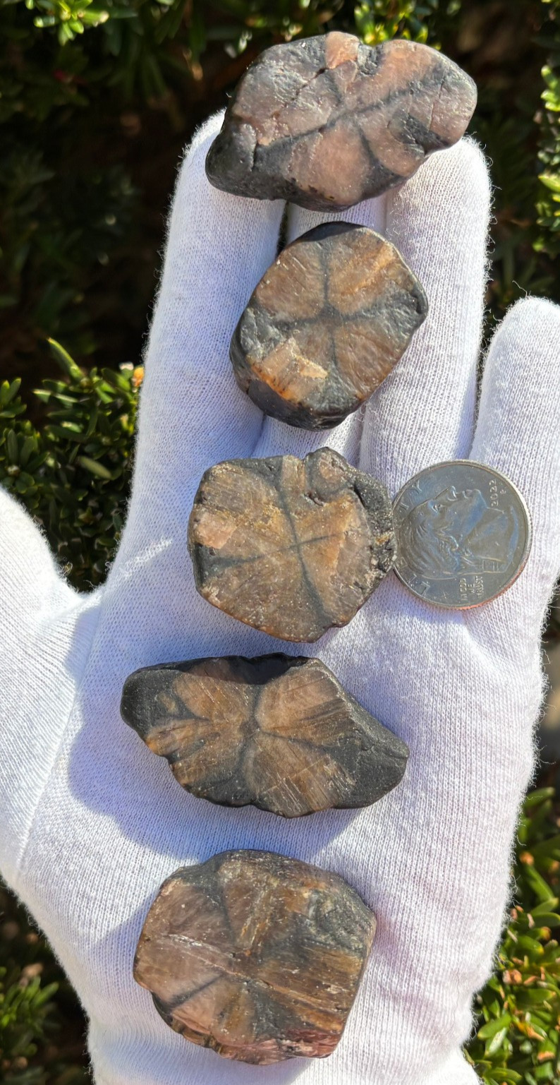 182g LOT THICK CUT CHIASTOLITE ANDALUSITE ROUGH LARGE-R SPECIMENS CROSS STONES