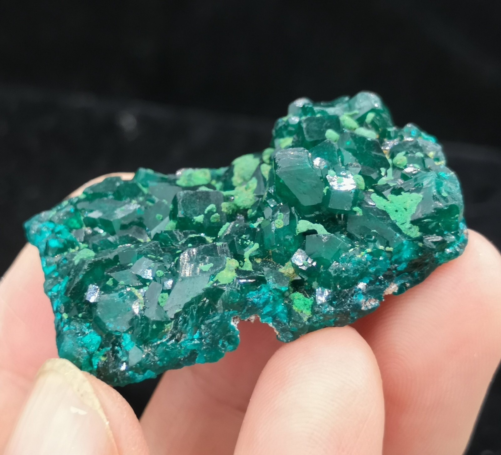 38mm Malachite on Gemmy Dioptase mined from Congo, Natural Mineral Specimen