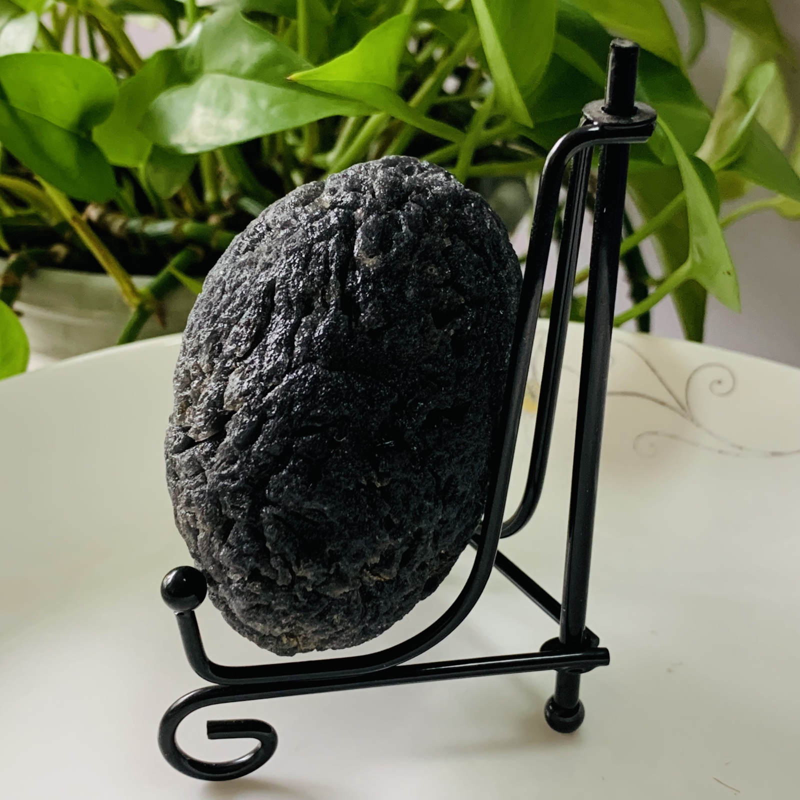 TOP 286g Natural Carbonaceous Chondrite Meteorite with Black reiki healing+stand