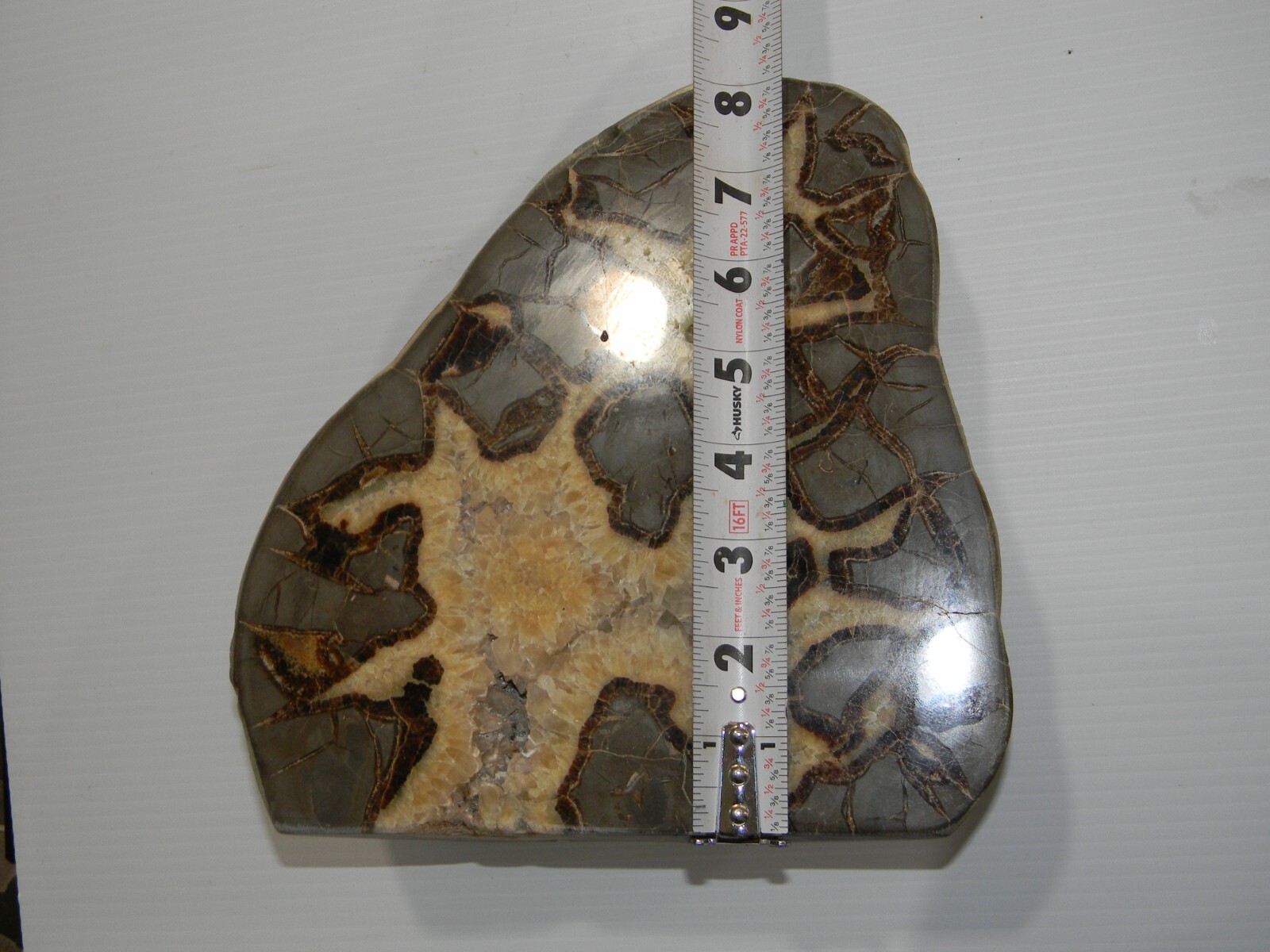 11 lb – Polished SEPTARIAN Nodule Half Utah Cut Bottom Standing