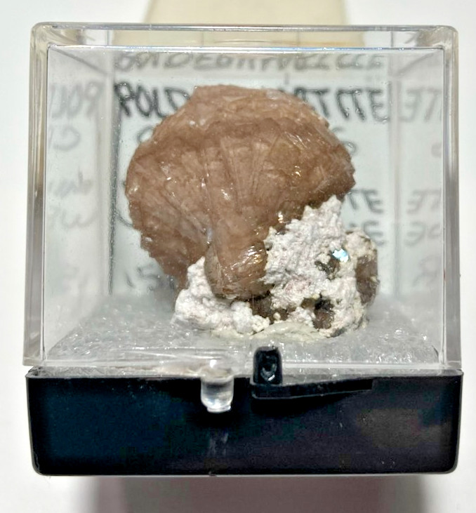 Exquisite VERY Rare Poldervaartite (Olmiite variety) & minor Calcite. S.A.
