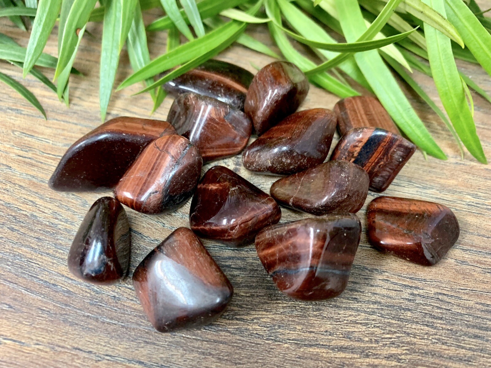 1/2 lb Red Tiger Iron Tumbled Stones Crystal Therapy Gemstone Specimen Reiki.