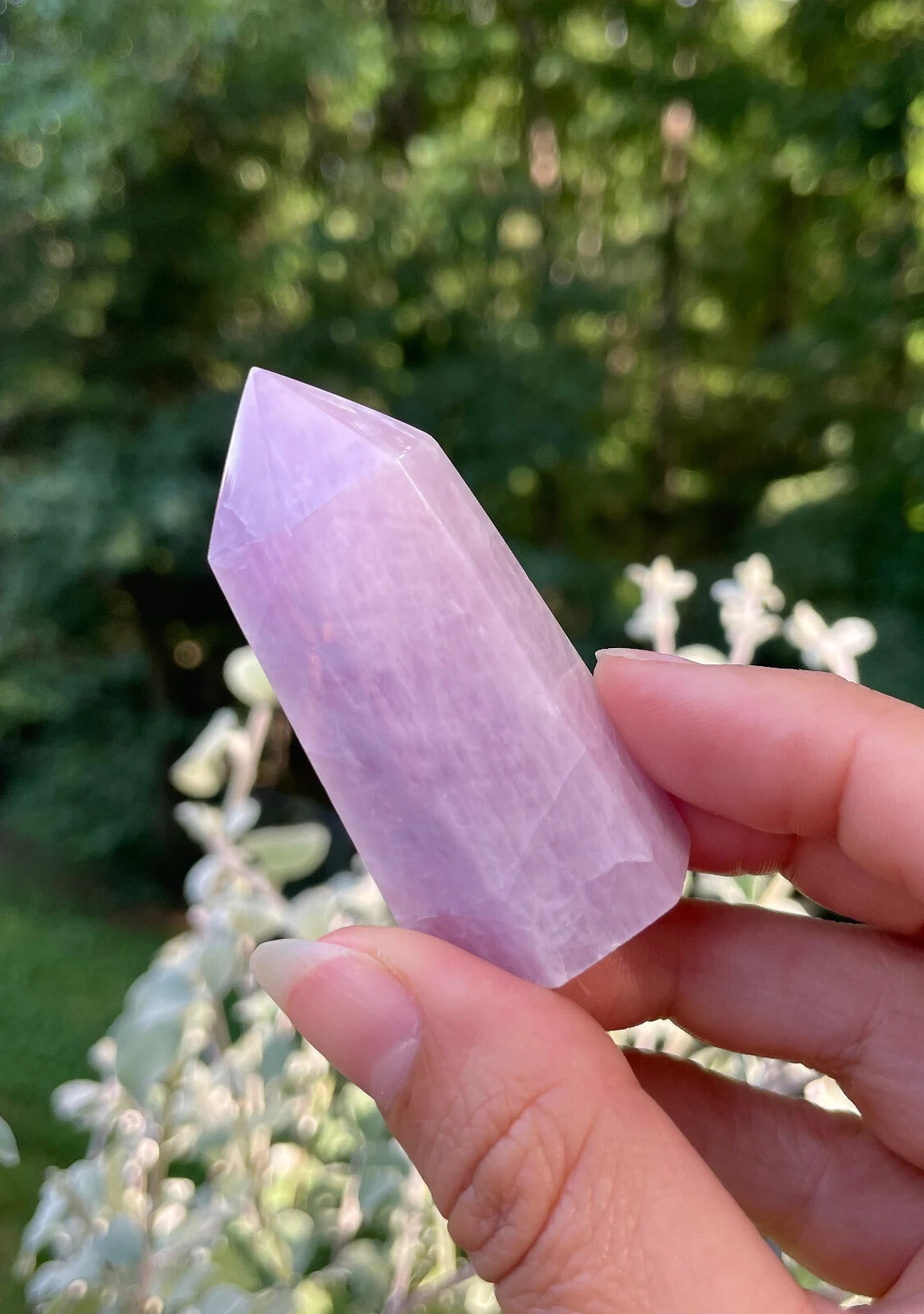 Awesome Lilac Purple Kunzite Point *Flashy *Stone of Emotion *Peace *Calmness
