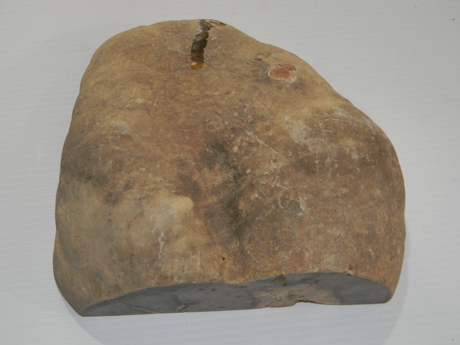 11 lb – Polished SEPTARIAN Nodule Half Utah Cut Bottom Standing