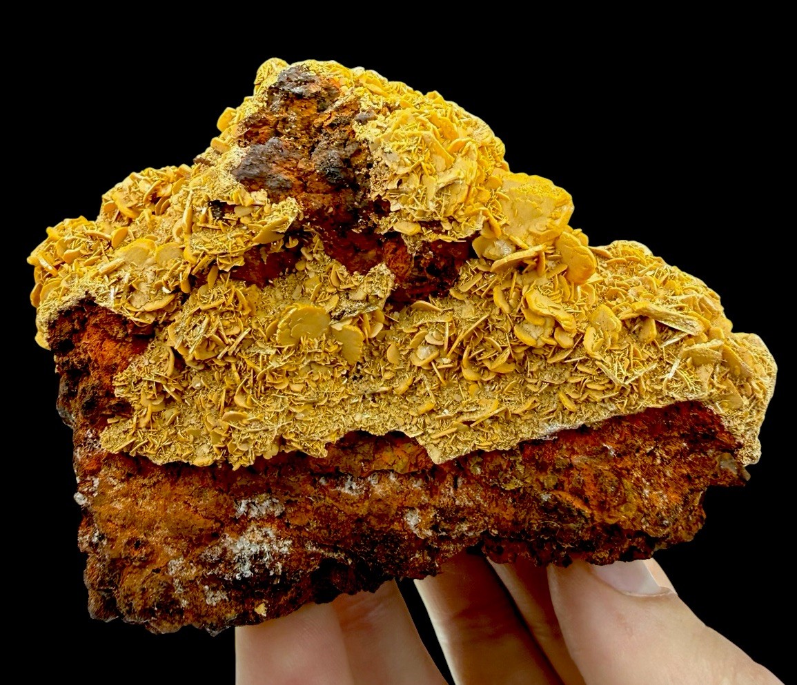 Wulfenite Crystals: Stefanie Mine . Bad Bleiberg . Carinthia , Austria 🇦🇹