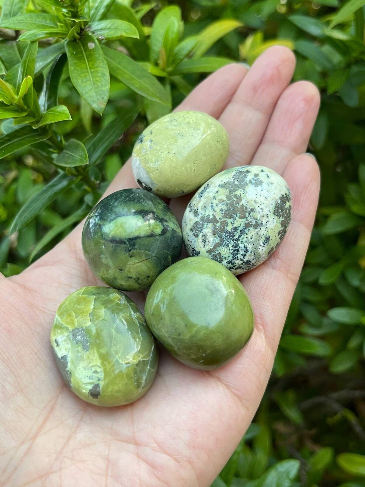 Grade A++ Serpentine Tumbled Stones, 1-1.25 Inch Tumbled Serpentine Stones