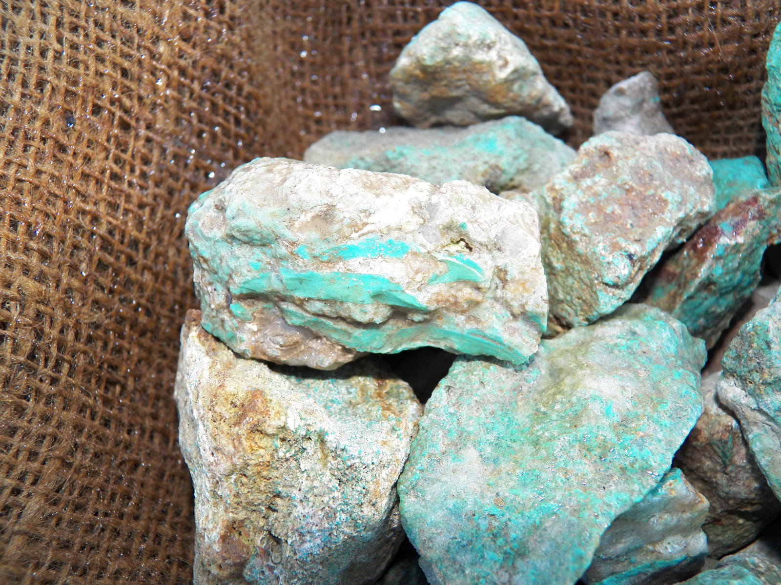 1000 Carat Lots of Natural Turquoise Rough (Not Stabilized) + a Free Gemstone