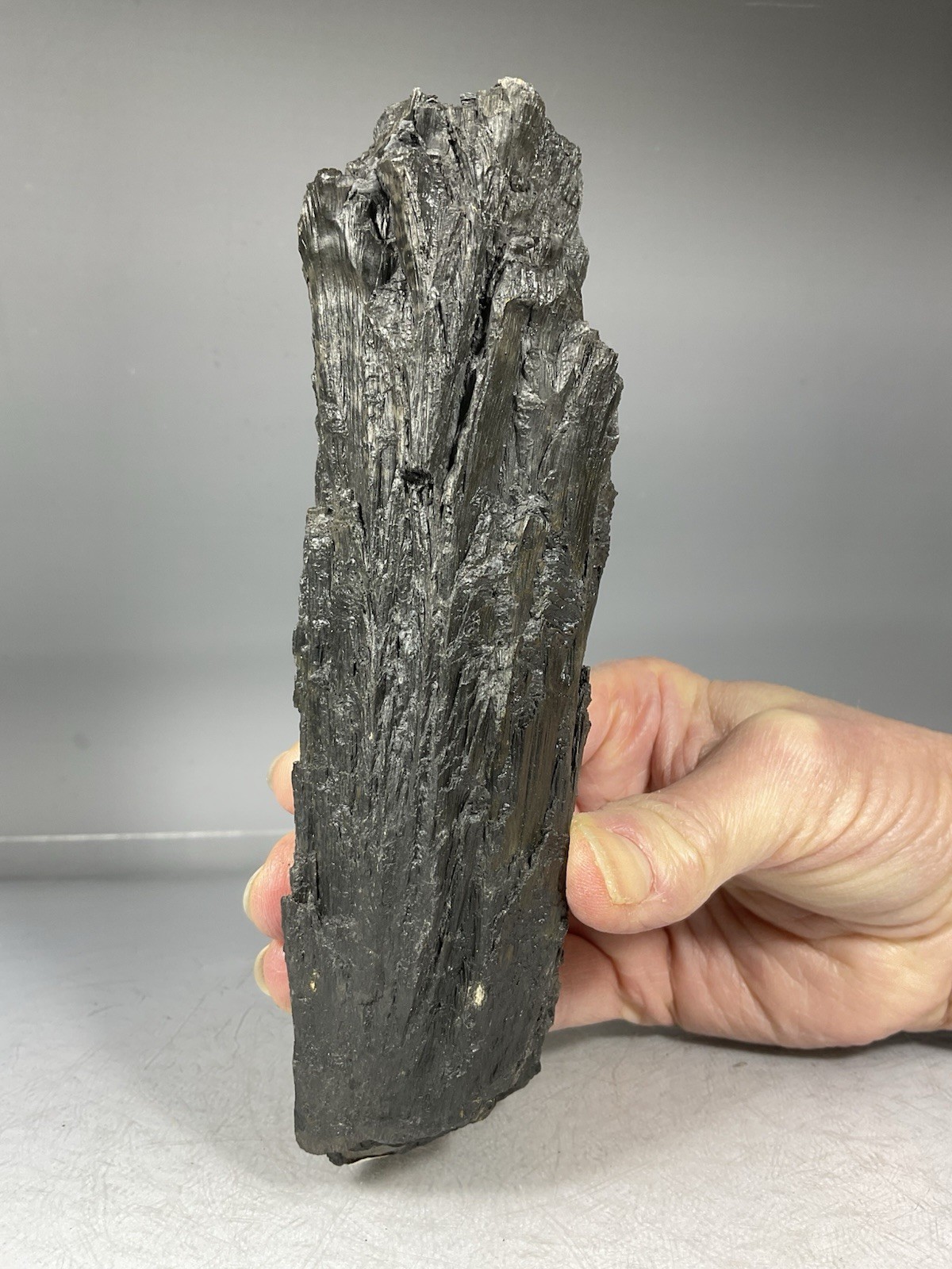 SS Rocks – Cone in Cone Structure “Calcite” (Jewel, Iowa) 389g ( 6 3/8″ )