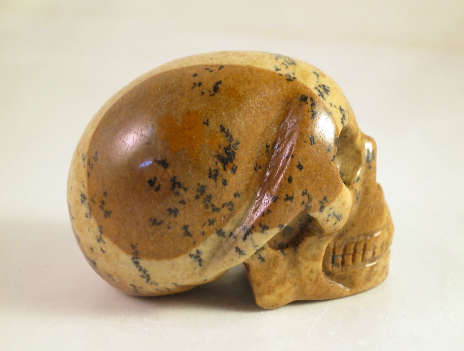 2″ PICTURE JASPER Carved and Polished SKULL
