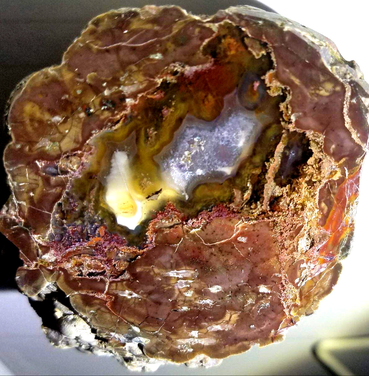 POLISHED RARE Oregon Mill Creek Thunderegg (No Cracks Agate)Ghost Crystal Plumes