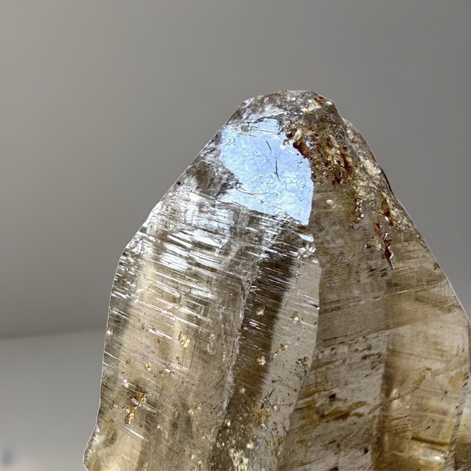 “Golden Comet” Ganesh Himalayan Quartz Secondary Growth Iron Oxide Nepal Crystal