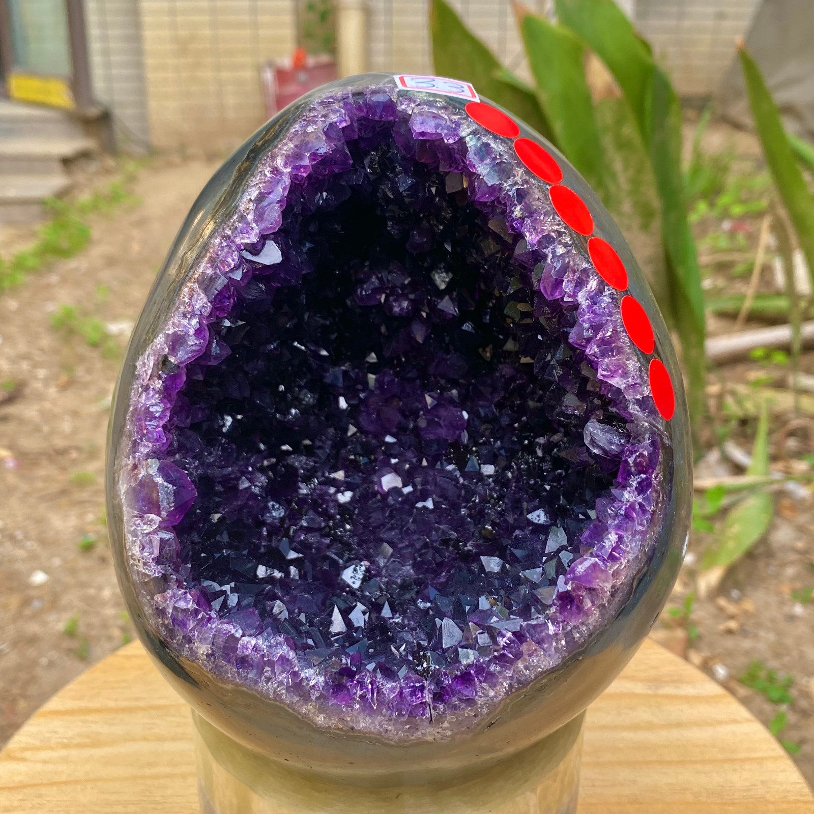 8.4LB Natural amethyst Dinosaur egg Quartz Crystal specimen healing