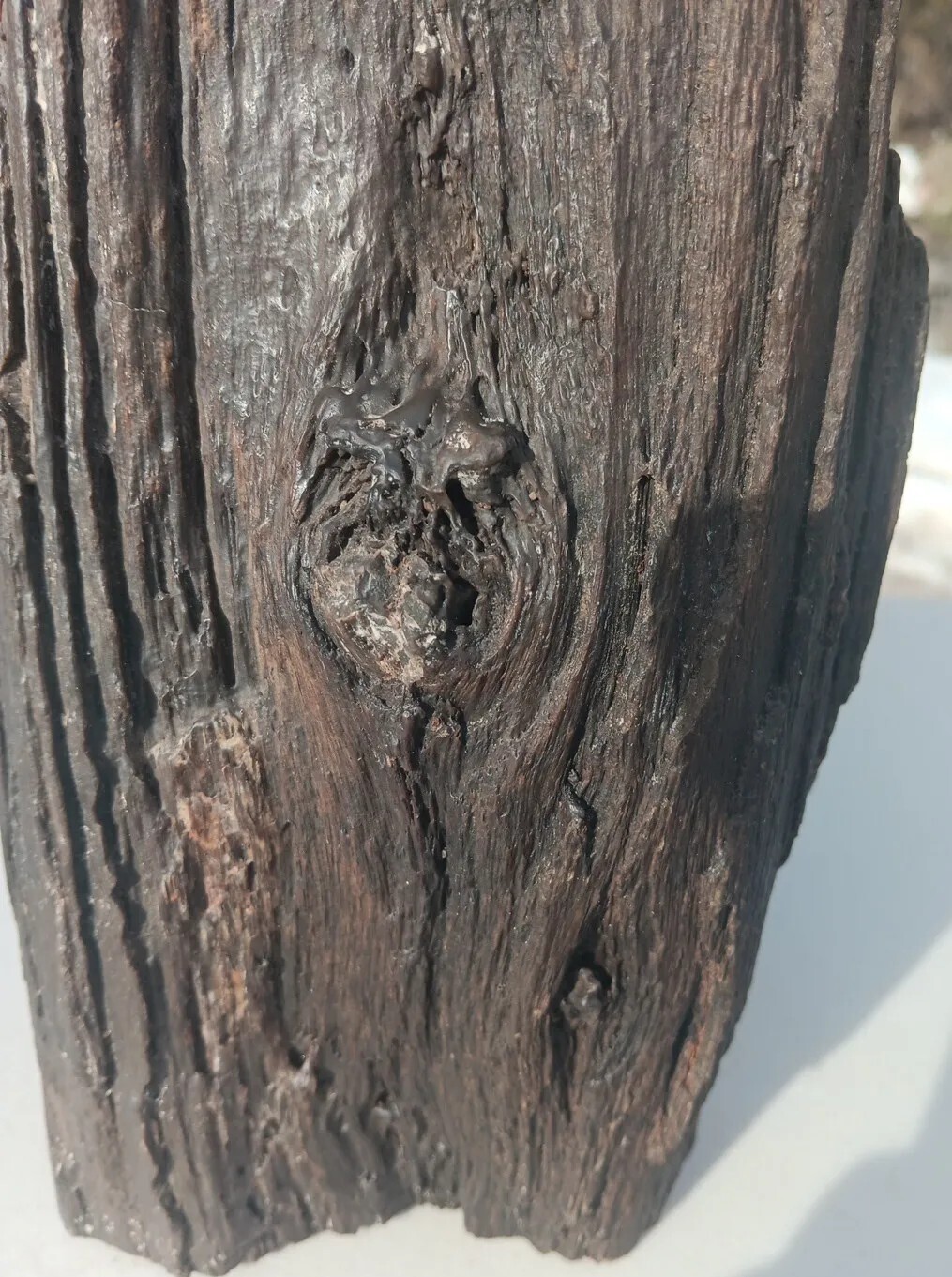 Petrified Iron Wood Fossil Tower Twistes Knots Holes Rings 10 3/4lb Display Rare