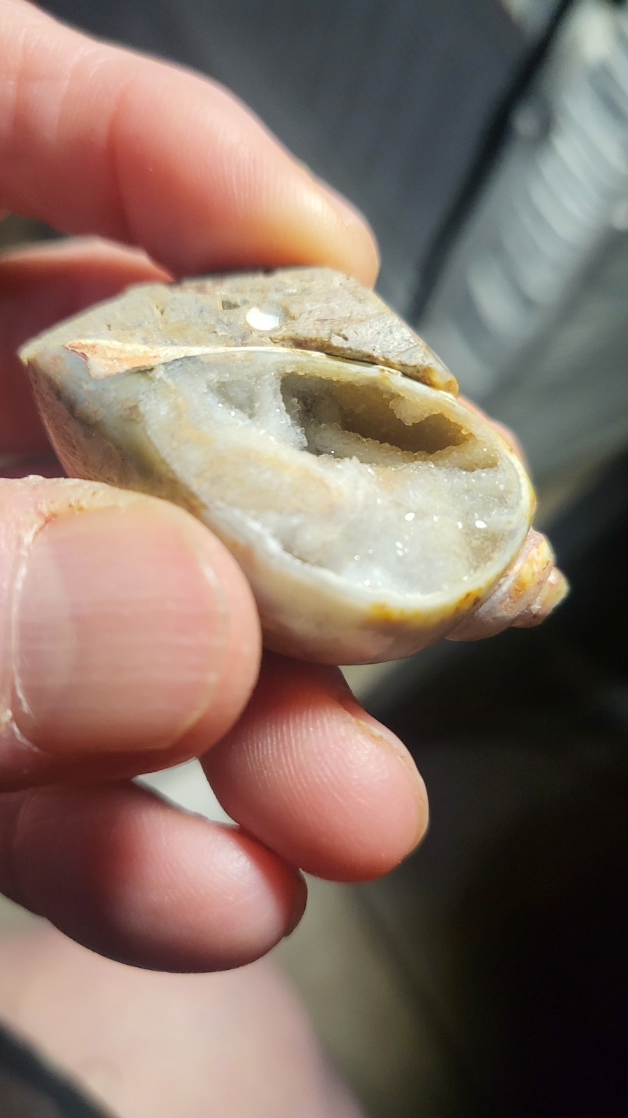 Highly Prized Rock and Mineral Collection