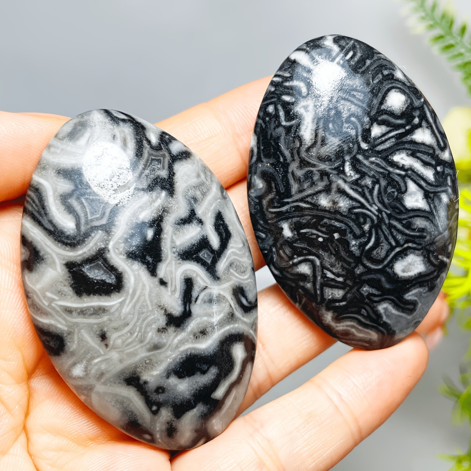 3PC Wholesale Natural Crystal Picasso Jasper Palm Stone Quartz Healing Decor