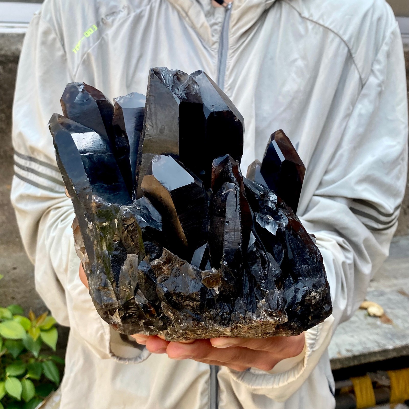 7LB Natural Tea black Crystal quartz Cluster Mineral Specimen Healing reiki