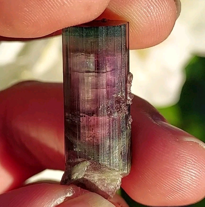 ULTRA RARE BURKHARD’S POCKET TOURMALINE NO REPAIRS PEDERNEIRA MINE BRAZIL