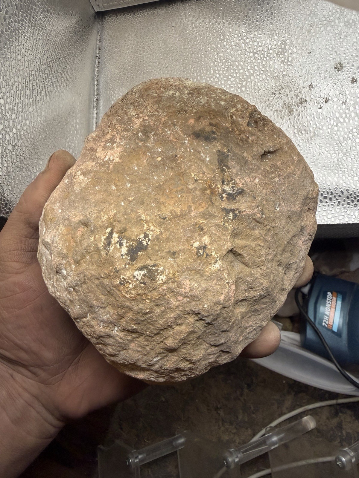 LARGE 1LB 12OZ Fire Kentucky Agate With Dark Fracture Lines Brilliant Contrast