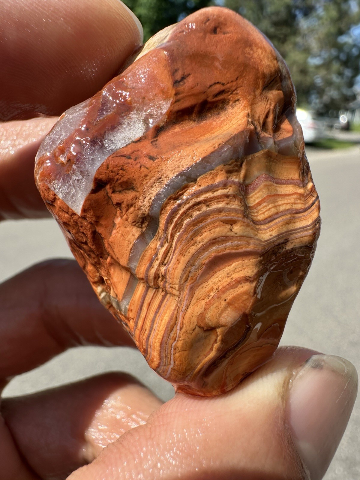 1.45 oz Lake Superior Agate Rare Chalky Opaque Fire Canyon Paint Agate (DEAL)