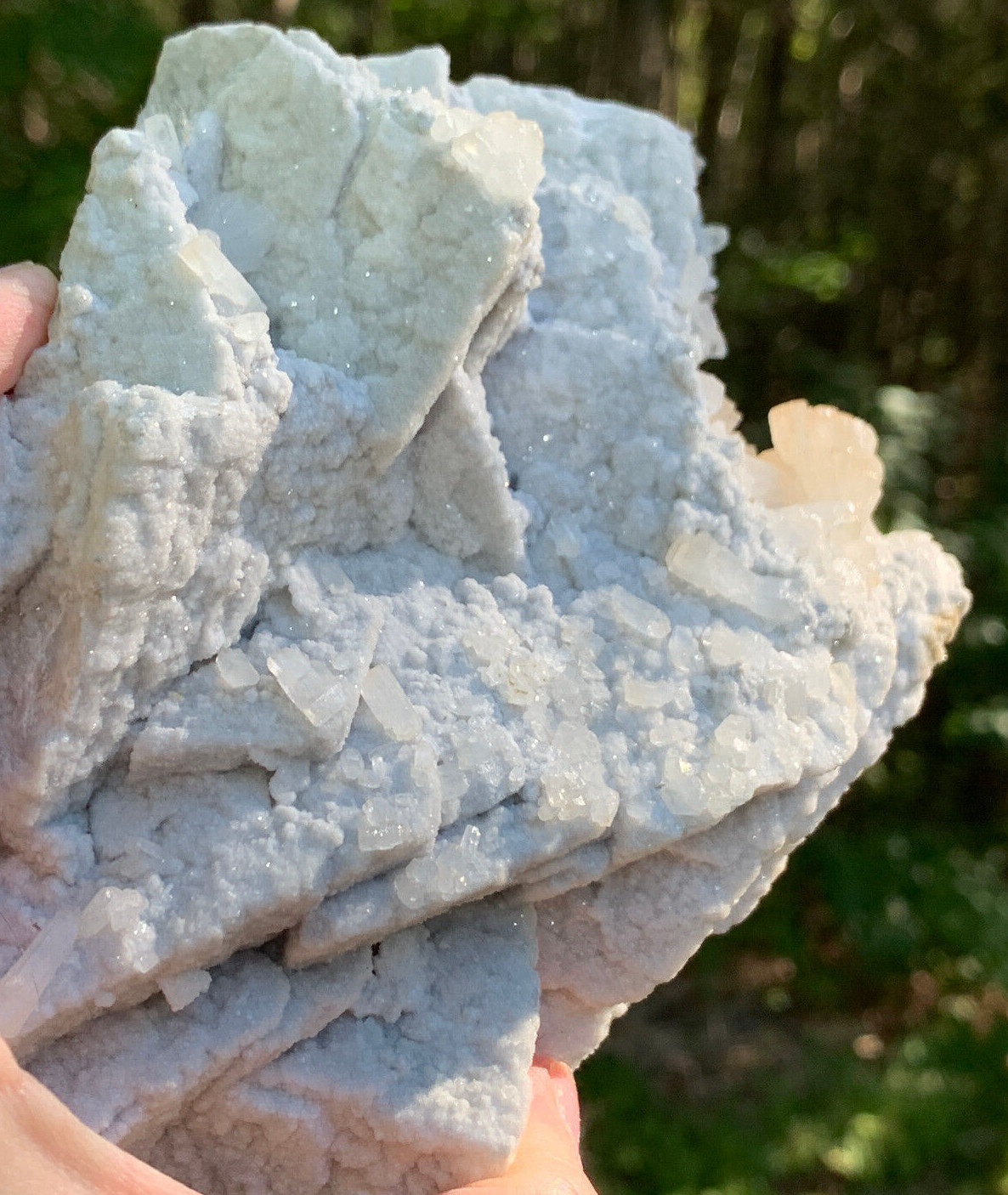 STRONTIANITE LARGE MUSEUM QUALITY SPECIMEN NATURAL TERMINATED CRYSTALS MATRIX