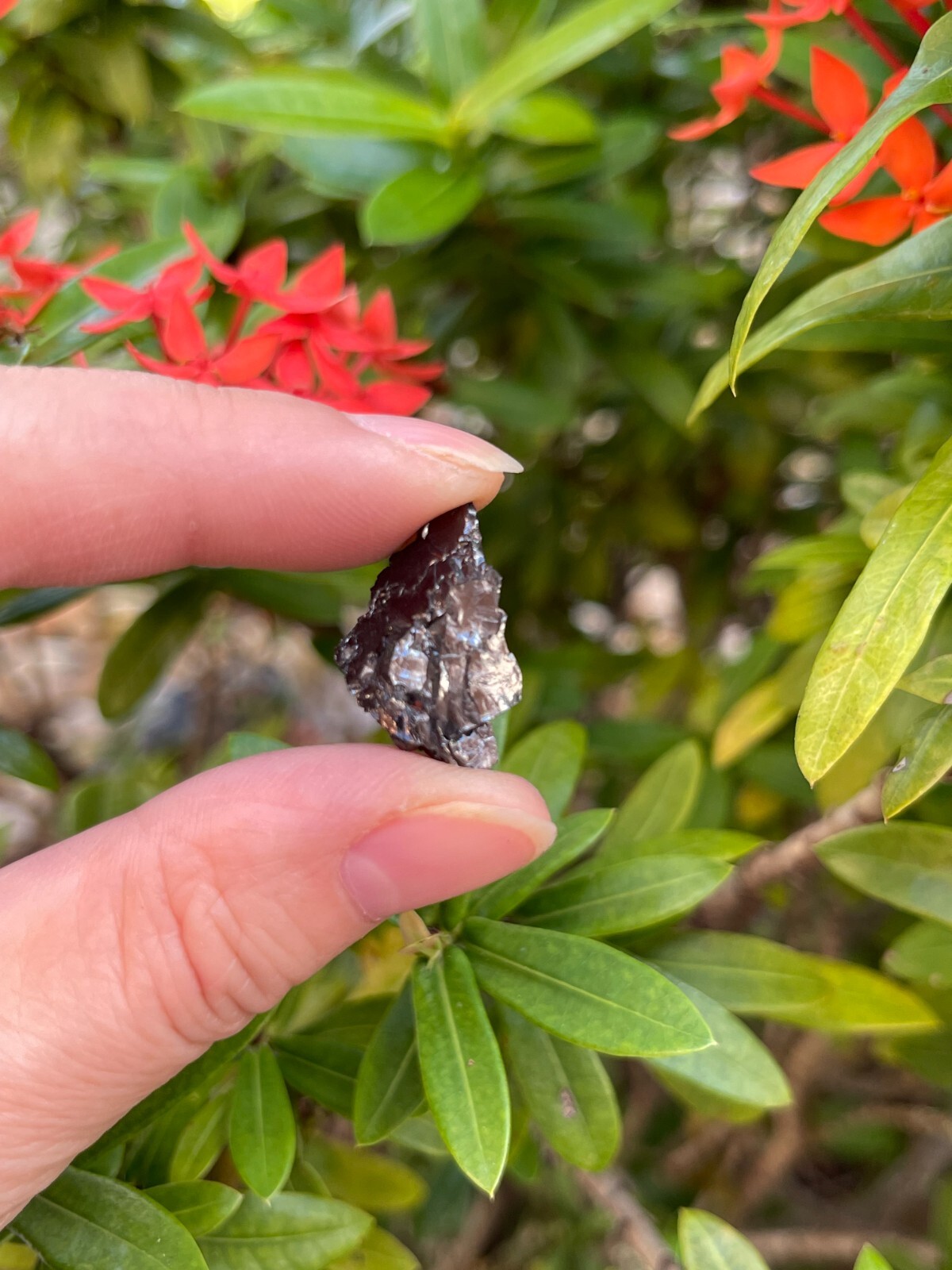Grade A++ Small Elite Noble Shungite Stone, 0.2-1″ Raw Shungite, Bulk Lot