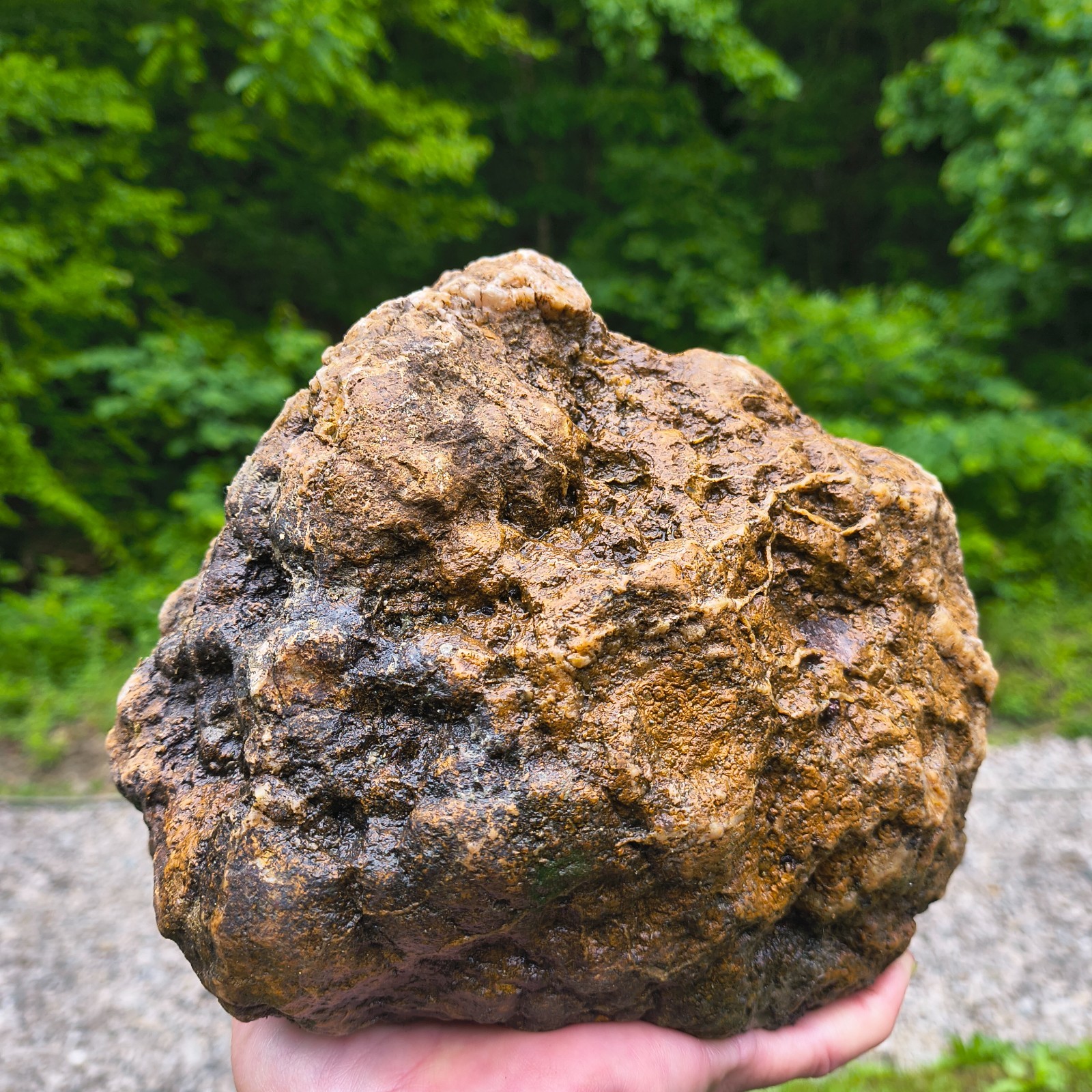 Large Kentucky Geode Natural Unopened Crystal Geode Collector Specimen