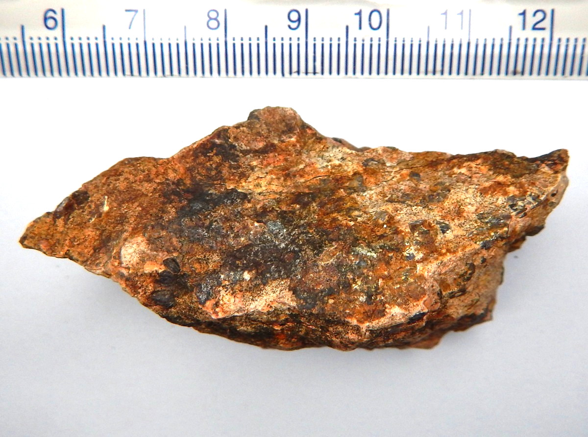 179.4ct 1.1 Billion Years Old Llanite Natural Mined Unheated Rough Texas USA