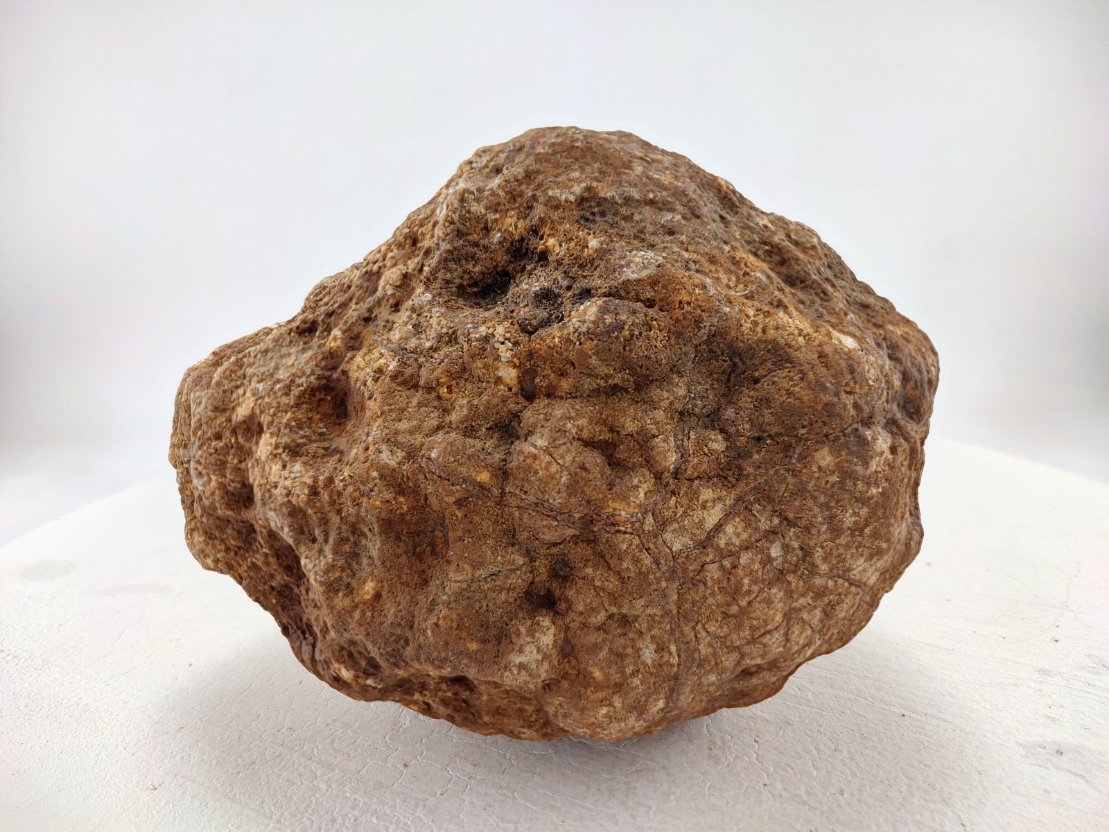 5″ Unopened Geode Natural Kentucky Crystal Quartz Non Rattler 4 LB