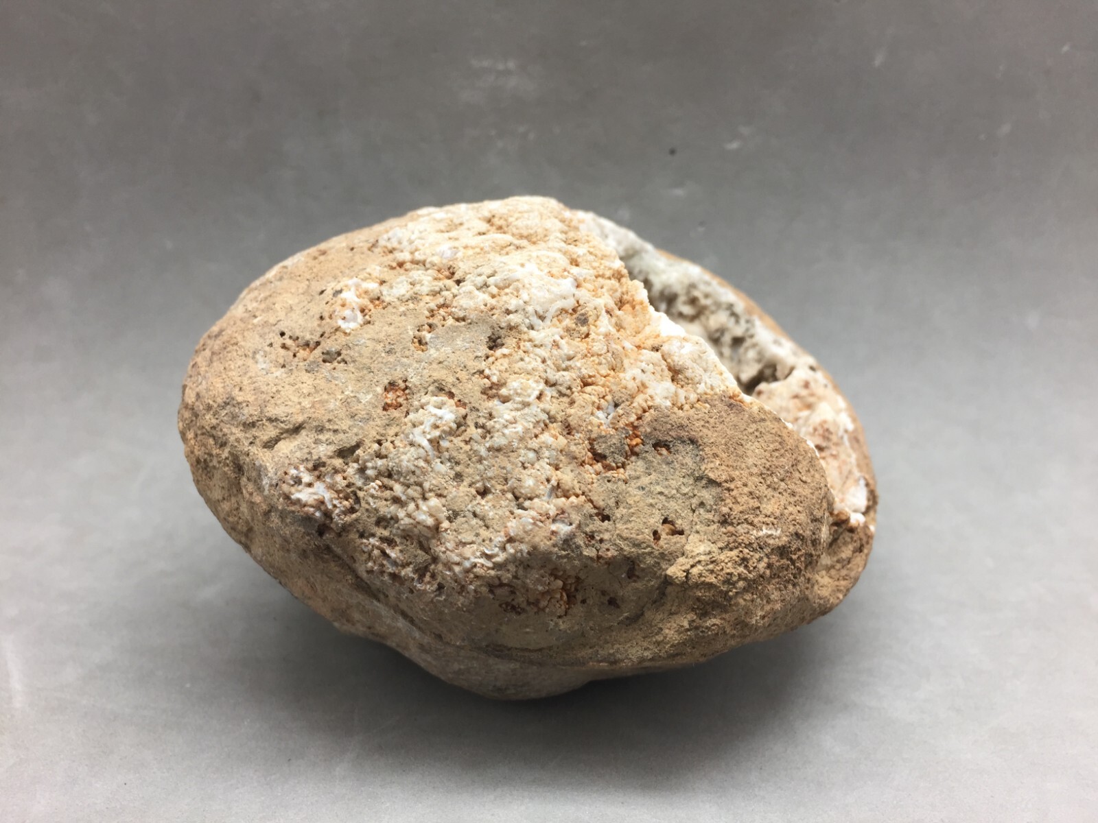 Southern Illinois Geode Rock Snowy Calcite Crystal Pocket Inside 5.75″x5.25×4″