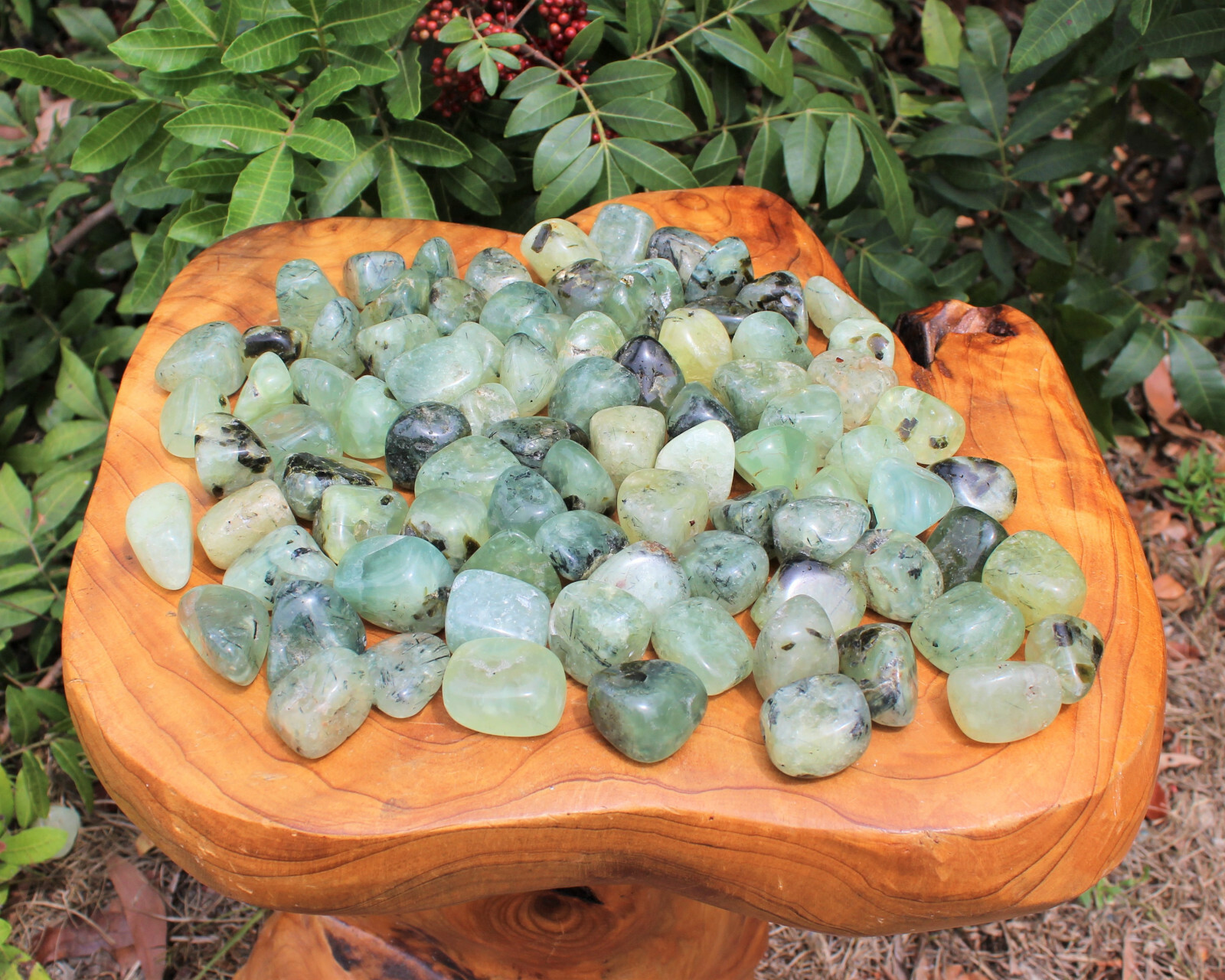 1/4 lb Prehnite with Epidote Tumbled Stones (Crystal Healing Reiki) 4 oz