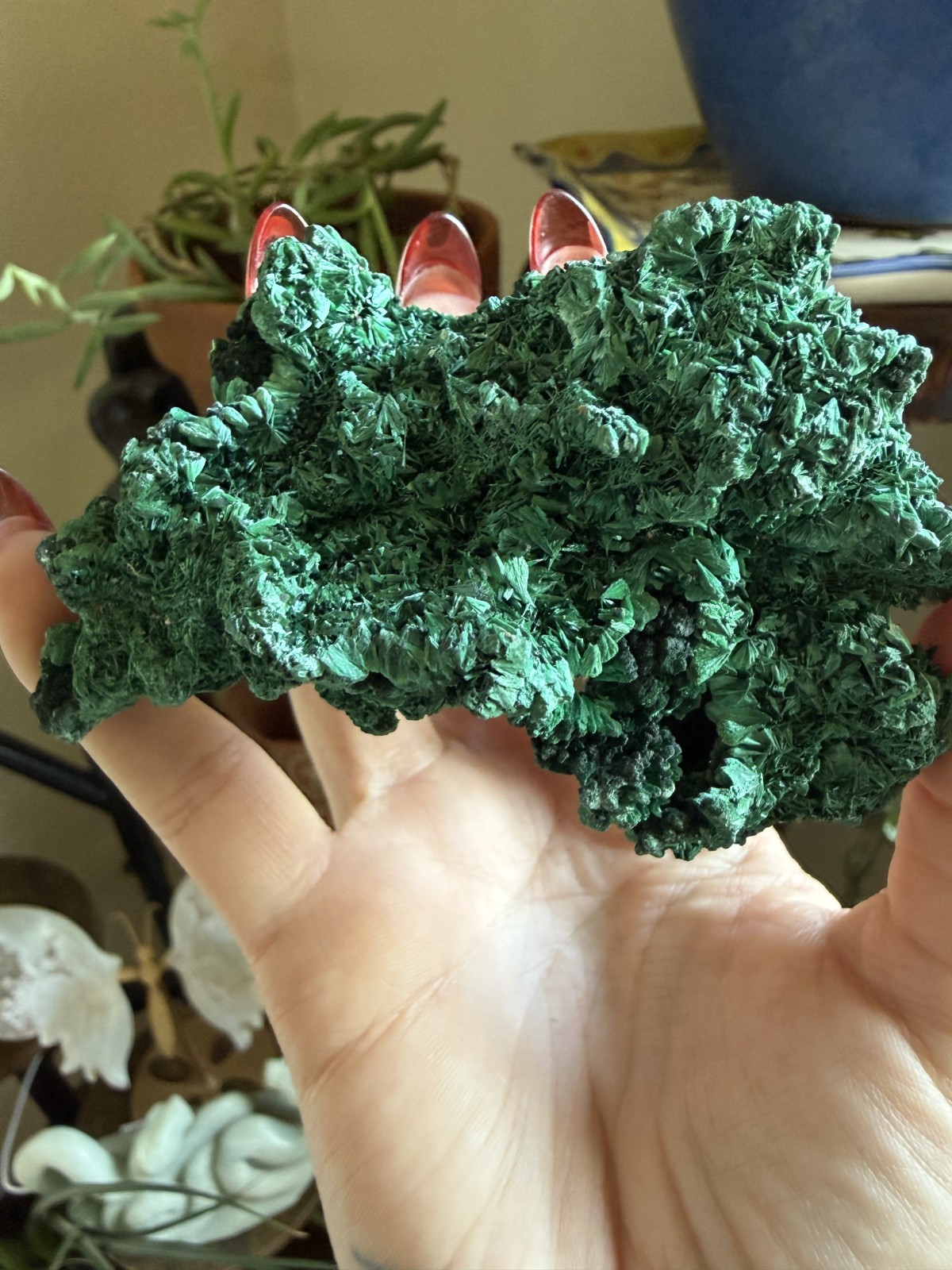 Malachite Crystal Specimen (Floating, No Matrix) – 5.68 oz