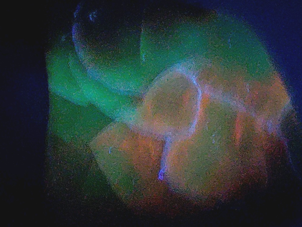 Polished Yellow Cat UV+ Agatized Petrified Wood Limb Cast Mineralization @ Depth
