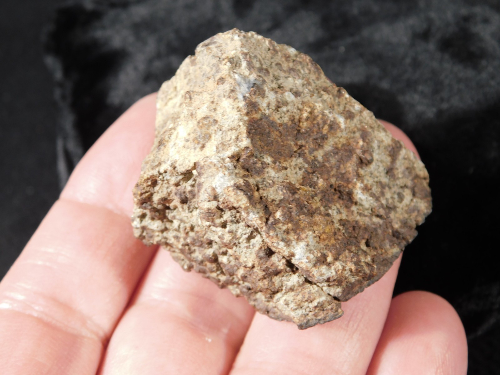 Classified NWA 8245 METEORITE 100% Natural FELL in Erfoud, Morocco 65.9gr