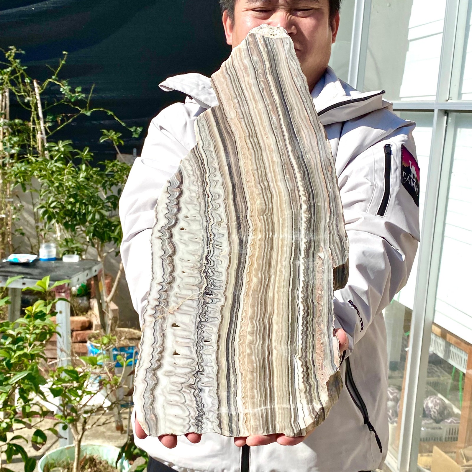 6LB Natural agate, zebra stone, crystal mineral, cut and polished in flakes