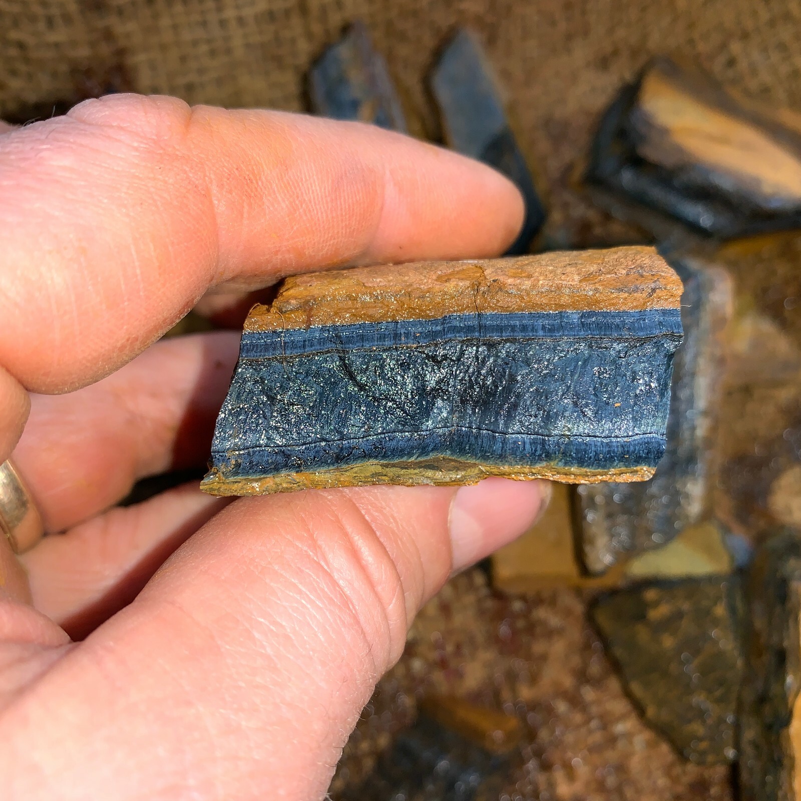 BLUE Tiger Eye Rough – 3000 Carat Lots + a FREE Faceted Gemstone!