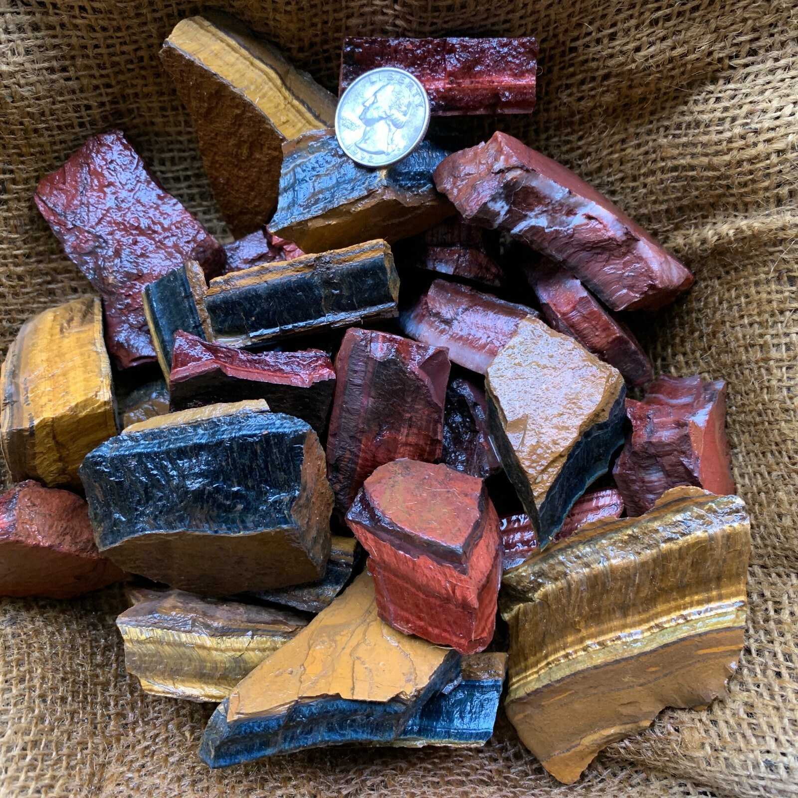 MIXED Tiger Eye Rough (RED, BLUE, GOLD)- 1000 Carat Lots+a FREE Faceted Gemstone