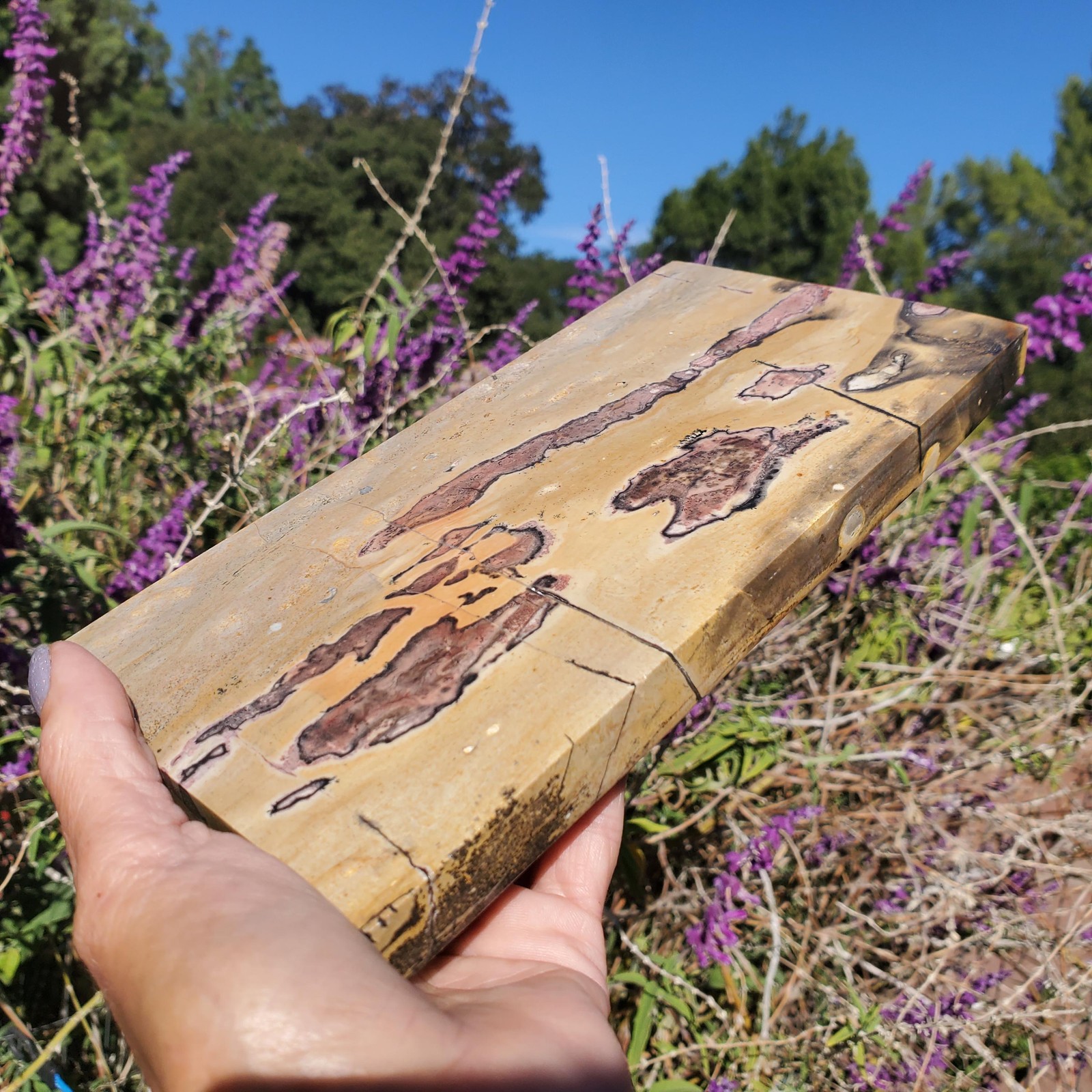 Picture Story Jasper Pastel Dendritic Display Crystal Tile Slab 922 grams
